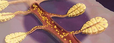 1706691767520245.gif ed8b0fd7d507bdfe523e62aea7e02750.gif