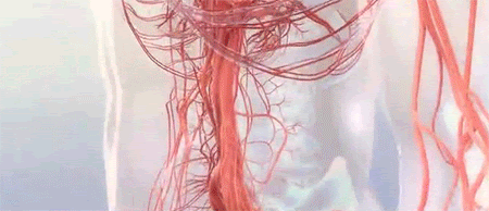 1706691784205918.gif 346414c4c01cdd3e2b6ee6e45ff60202.gif