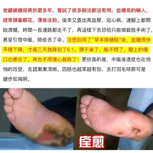 1706691789491599.jpg 9031f0d6e6e9220112d70eea2c1dc652.jpg