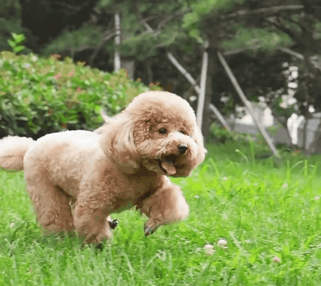 1715942746443194.gif 1.gif