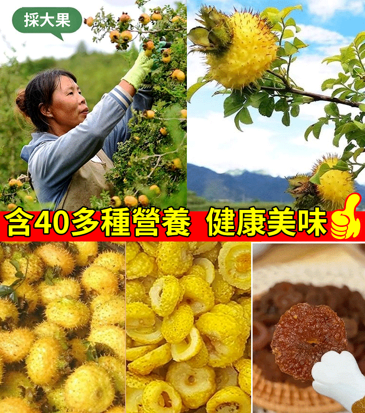 【台中東新特產 】維C之王刺梨乾果脯蜜餞 口感清香甘甜 老少皆宜 純乾果無添加 降血糖 清血脂 補氣 【台中東新特產 】維C之王刺梨乾果脯蜜餞 口感清香甘甜 老少皆宜 純乾果無添加 降血糖 清血脂 補氣